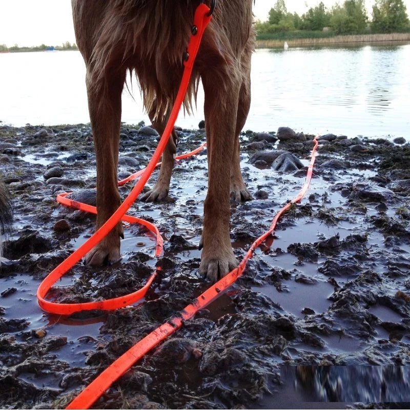 Livepetsme Waterproof Dog Leash PVC Rope For All Sizes Dogs