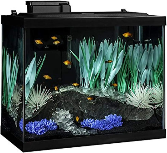 20 Gallon Aquarium Kit with LED Lighting and Decor, Complete Fish Tank Setup