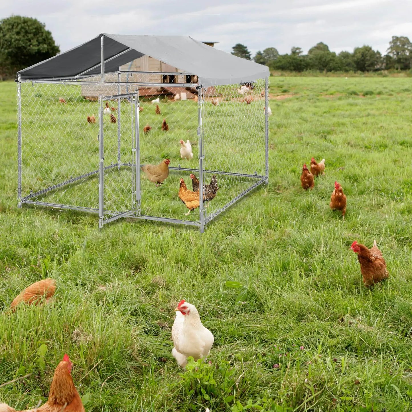 HiMISS Heavy Duty Outdoor Metal Dog Kennel With UV Cover