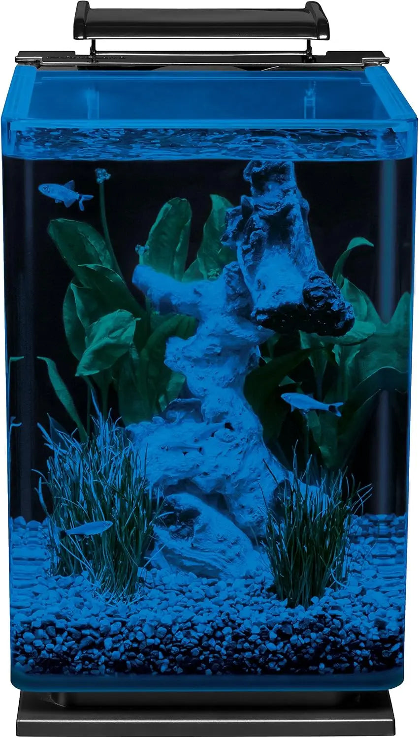 5 Gallon Glass LED Aquarium Kit with Hidden Filtration, Sleek Design and Dual Lighting