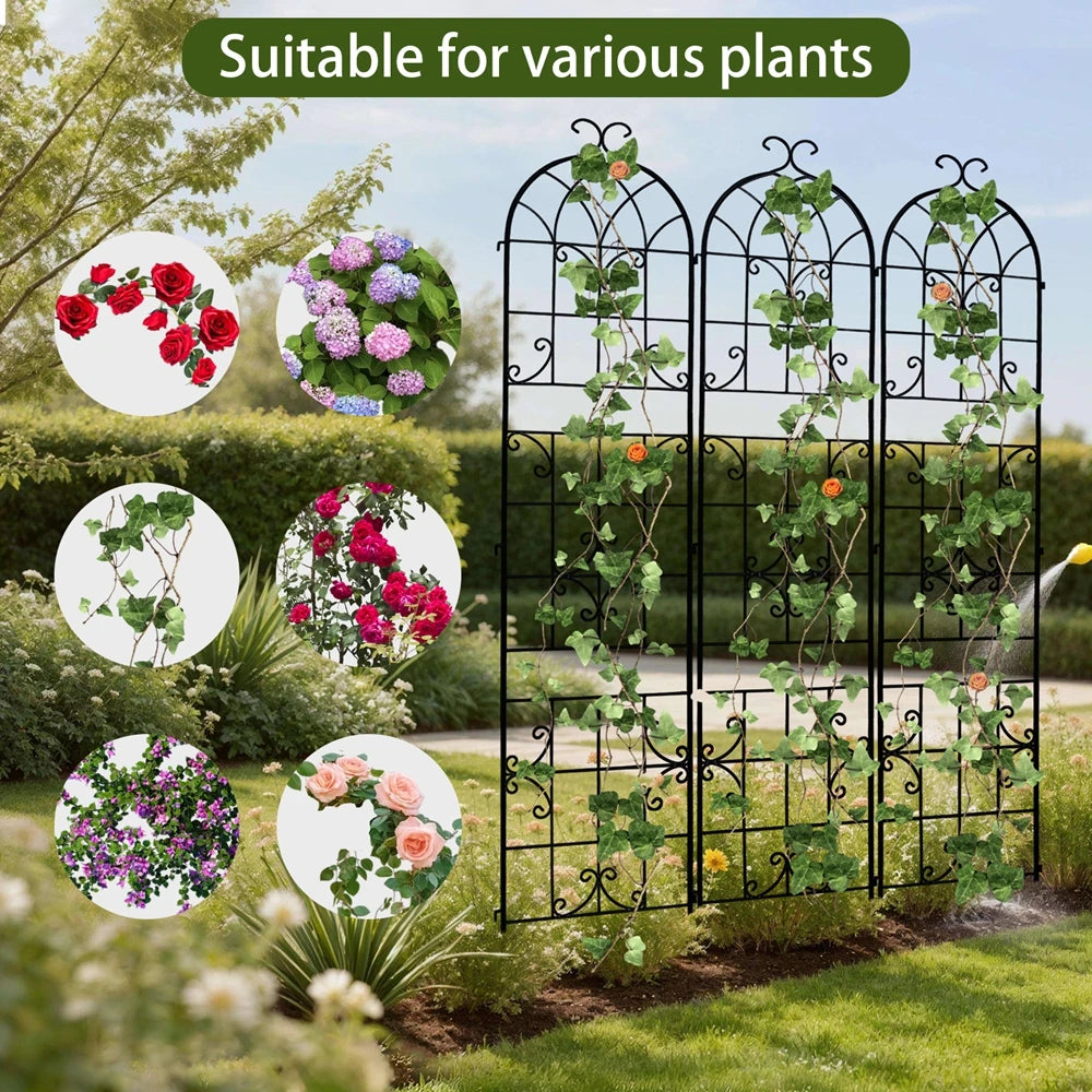 3 Pack Rustproof Metal Garden Trellis For Climbing Plants