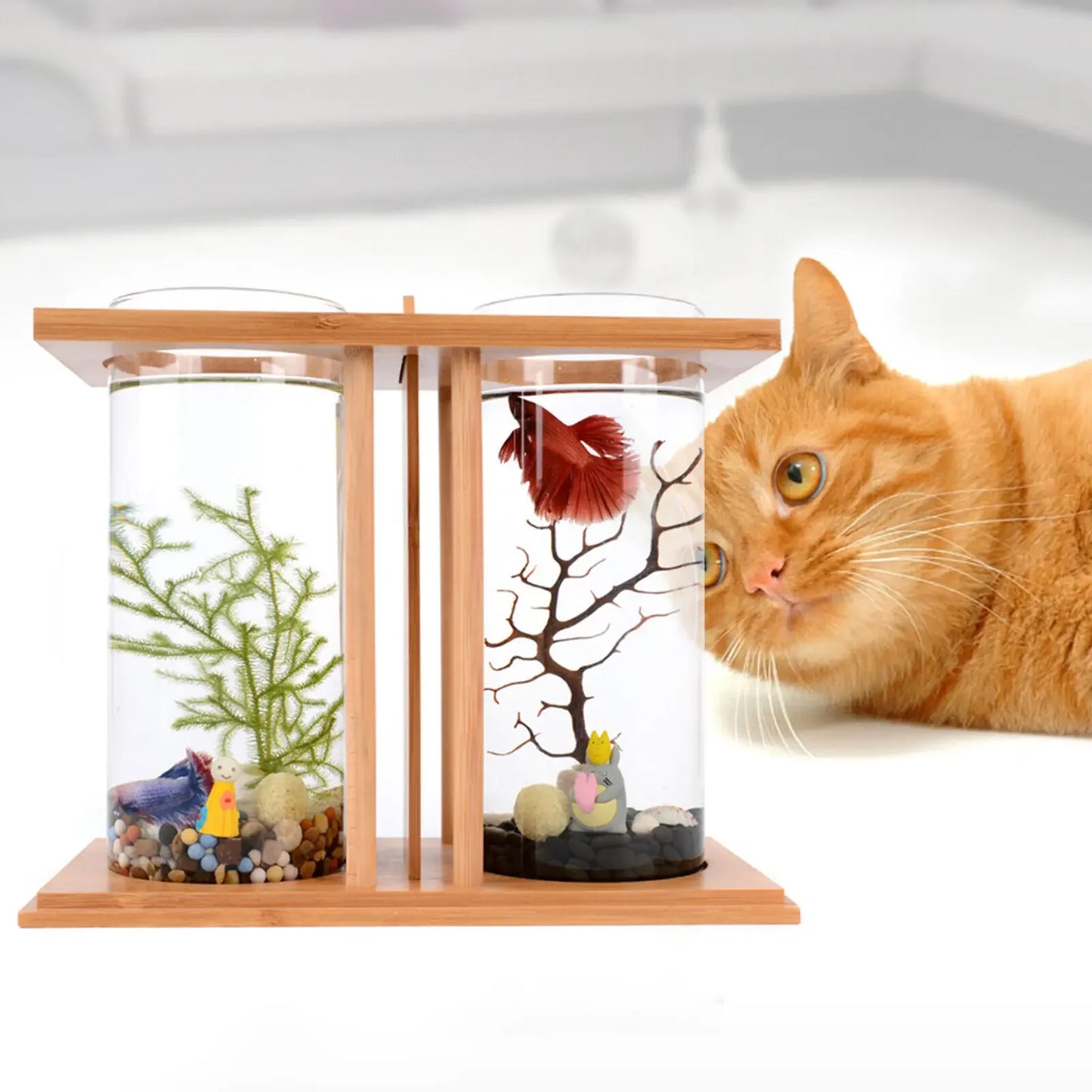 Glass Betta Fish Tank with LED Light Bamboo Base Mini Aquarium Set for Desktop Home Office Decoration 2 Tanks