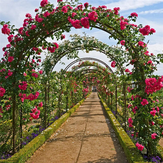 Feature Heavy Duty Metal Garden Arch Rose Archway Trellis Pergola