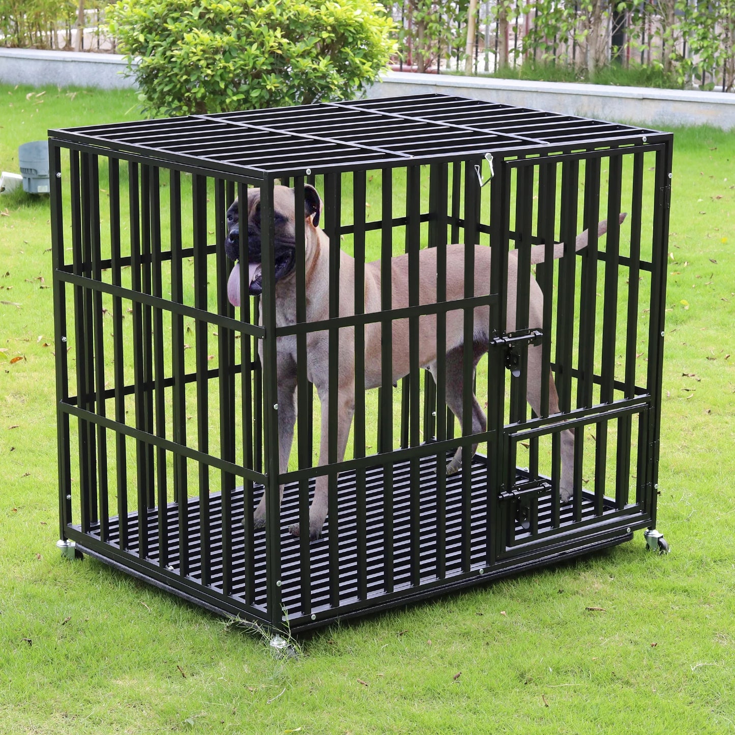 Bingopaw Heavy Duty Metal Dog Crate With 3 Doors Wheels Tray