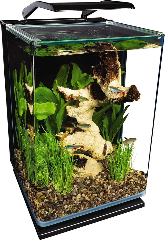 5 Gallon Glass LED Aquarium Kit with Hidden Filtration, Sleek Design and Dual Lighting