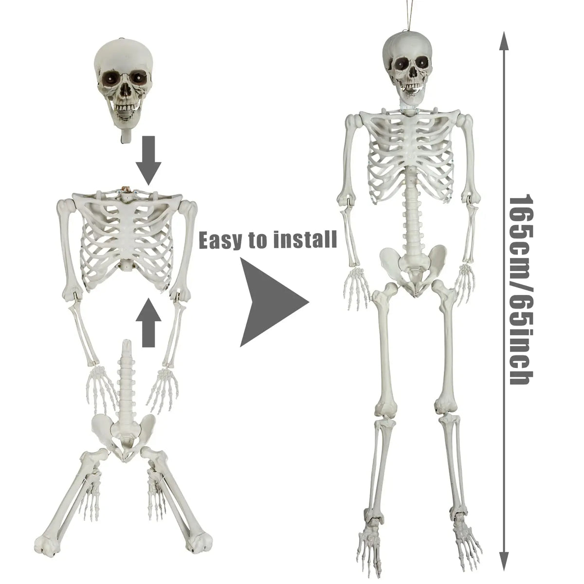 Sound Activated Posable Skeleton Decoration With Glowing Red LED Eyes