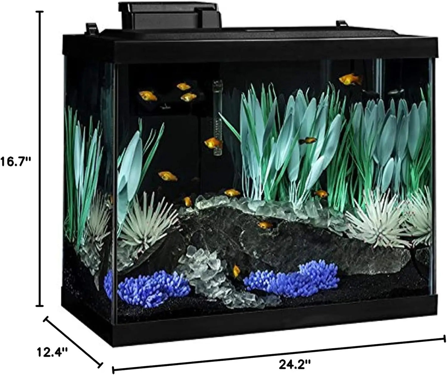 20 Gallon Aquarium Kit with LED Lighting and Decor, Complete Fish Tank Setup