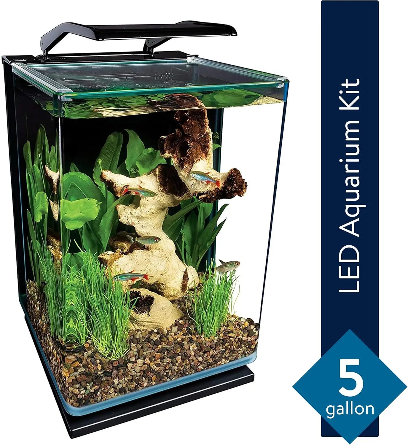 5 Gallon Glass LED Aquarium Kit with Hidden Filtration, Sleek Design and Dual Lighting