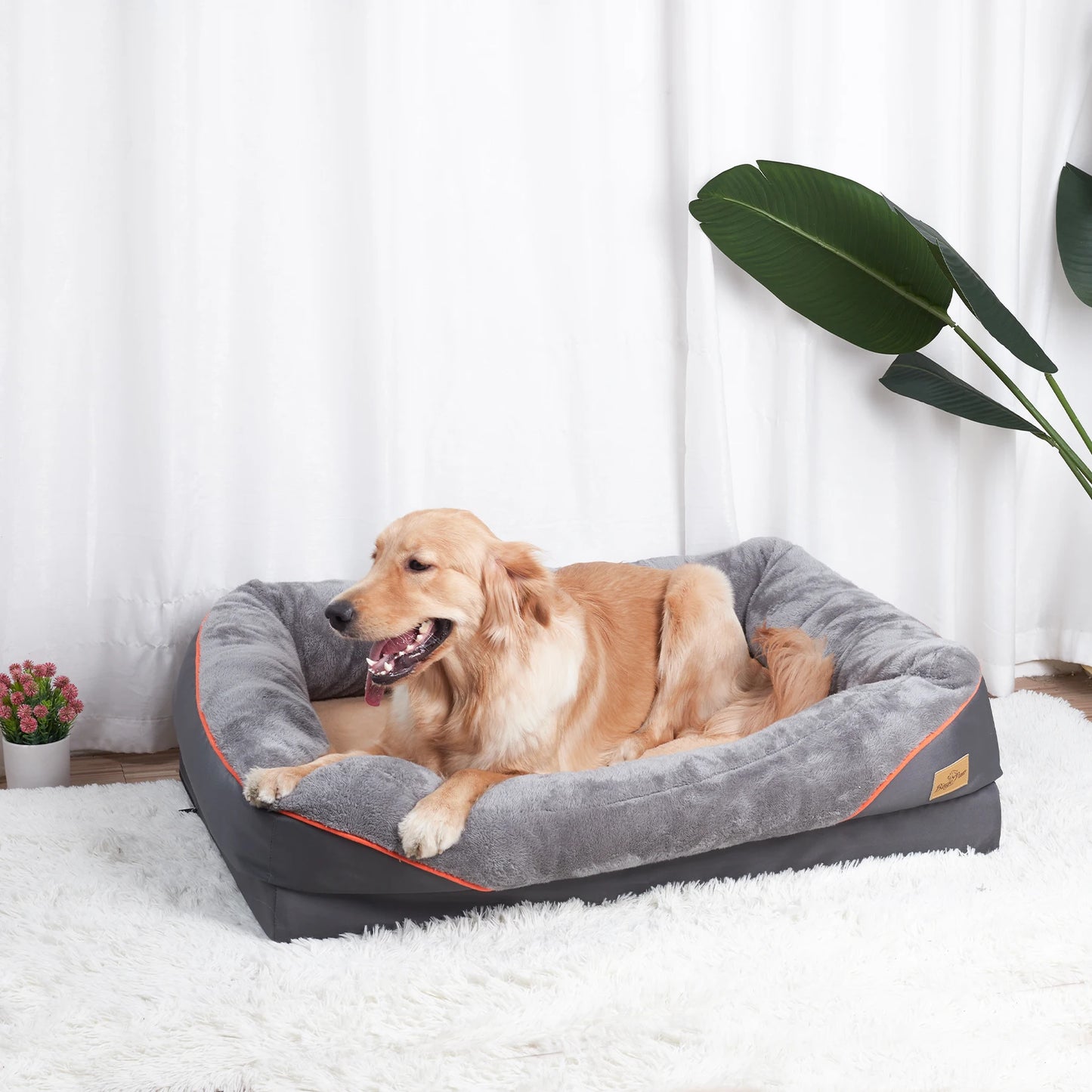 BINGOPAW Anti Allergy Dog Bed With Waterproof Removable Cover