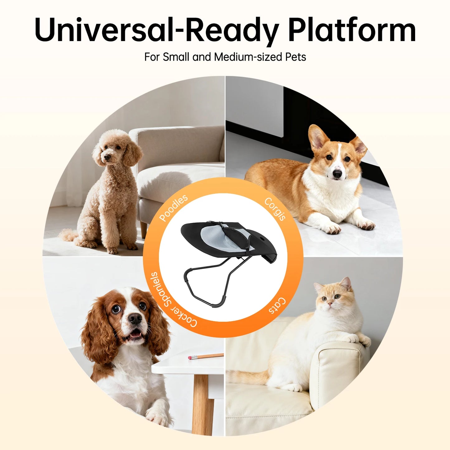 Sichuan Pet Rocker Bed Foldable Rocking Chair With Stainless Steel Bracket