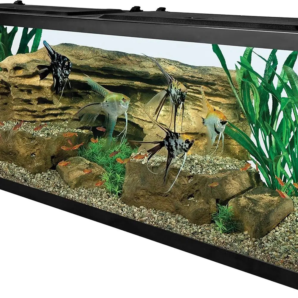 55-Gallon Rectangular Glass Aquarium Tank - NV52018 Model